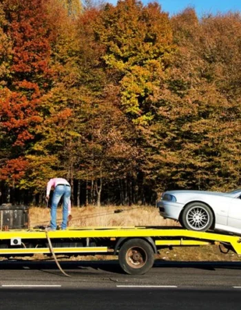 eline cash for cars