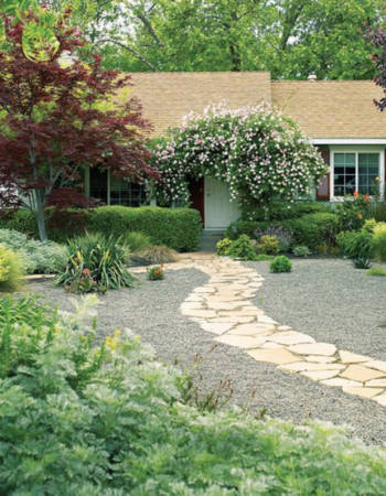 Rocklin Landscaping Pro’s