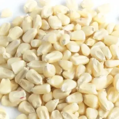 Capitalspice Inc