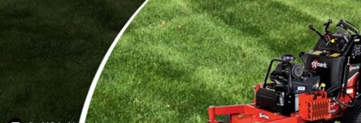 David’s Lawn Service
