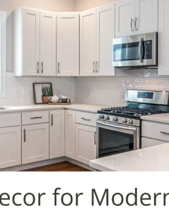 Modern Decor Living