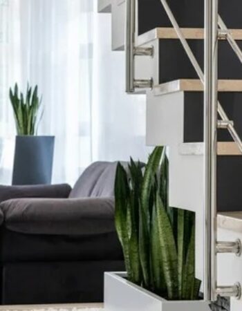 Lovehouse Developer