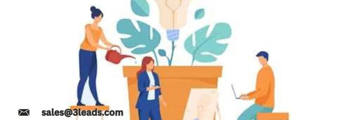 3Leads Resources India Private Limited