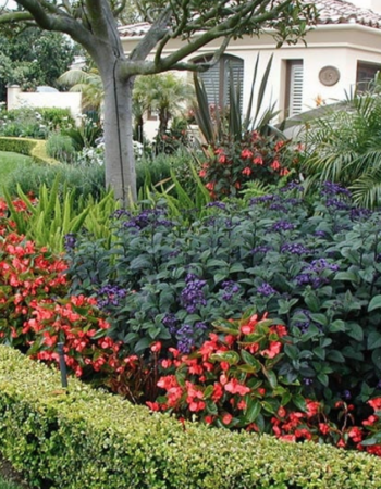 Rocklin Landscaping Pro’s