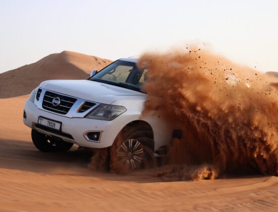 ADVENTURE EXPERIENCE TOURISM L.L.C