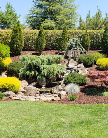 Rocklin Landscaping Pro’s